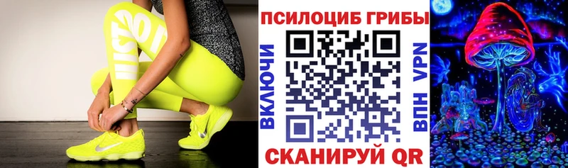 omg ссылки  Александровск-Сахалинский  Псилоцибиновые грибы Psilocybine cubensis 